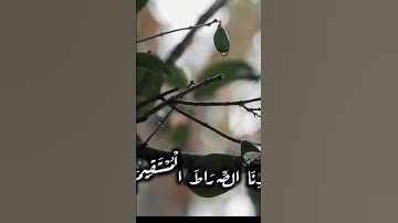 سورة الفاتحة بصوت الشيخ ياسر الدوسري ❤️