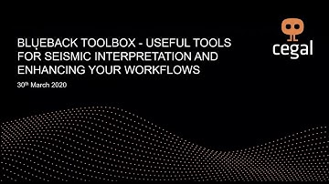Blueback Toolbox  Useful Tools for Seismic Interpretation and enhancing your workflow