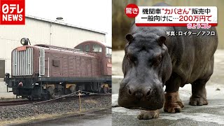 レトロ機関車“カバさん”販売中…理由は？（2020年10月23日放送「news every.」より）