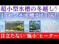 【超小型でもしっかり保温】わずか5リットルから使える万能水槽ヒーター