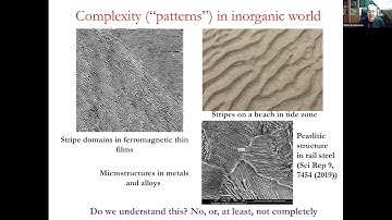 Katsnelson - frustrations, memory  and complexity in physics and beyond
