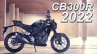 2022 Honda CB300R Update | What's New?