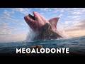Il megalodonte non ha mai smesso di crescere… finora?!