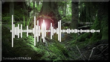 Hopsin - Jungle Bash (ft. SwizZz)