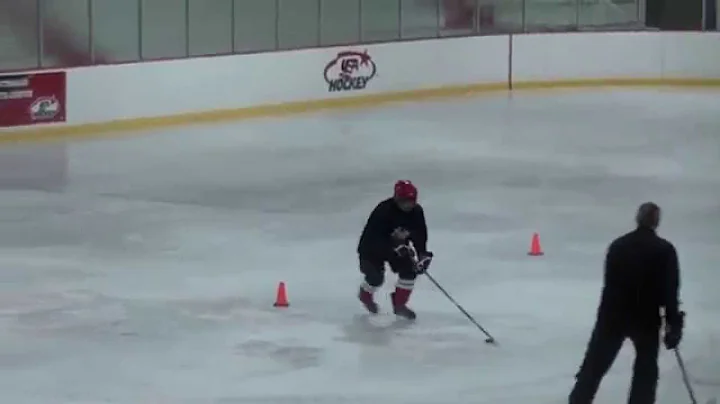 Victor Teleguine Professional Hockey Skill Develop...