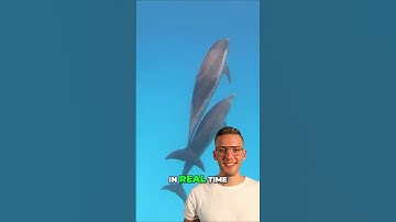 Google’s AI Learns to Speak Dolphin!