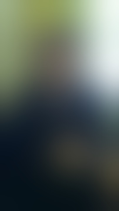 go pre save the shadow