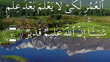 سورة النحل صفحة ٢٧٤ مكتوبة مكررة لسعد الغامدي