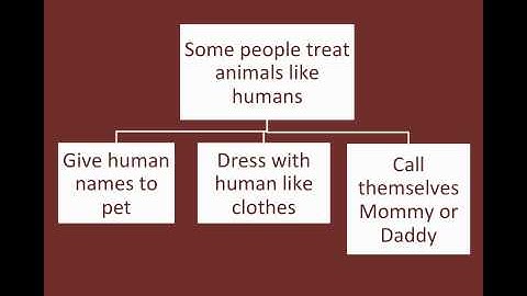 Exemplification Paragraph