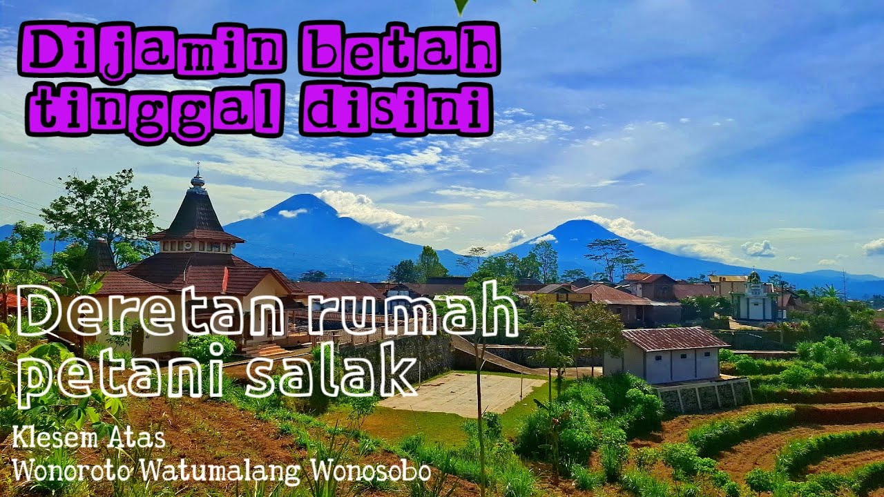 Dijamin betah 🥰 Menikmati hidup dikampung yang indah alam desanya, suasananya adem, ayem dan tentram