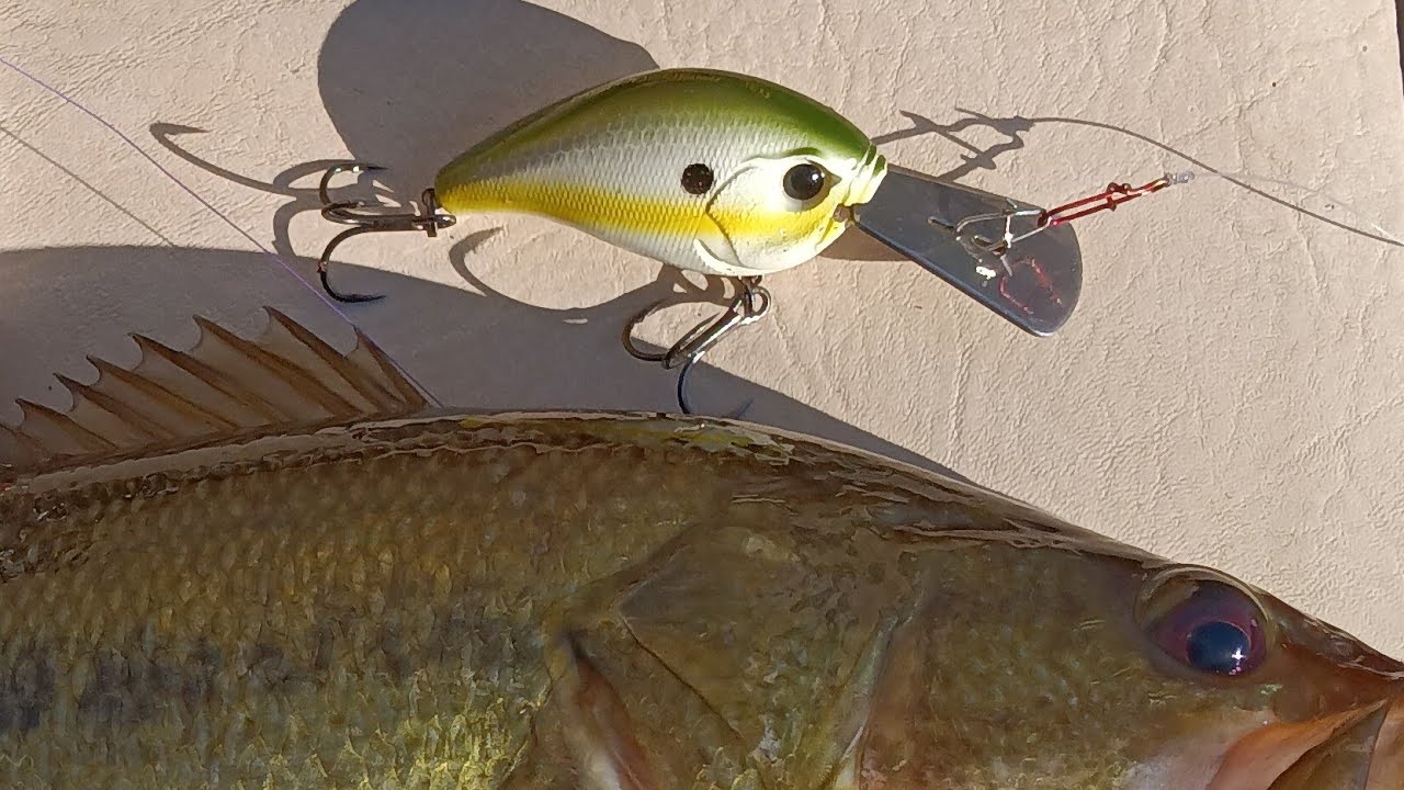Baits That Suck The Grind 13 Fishing Jabber Jaw