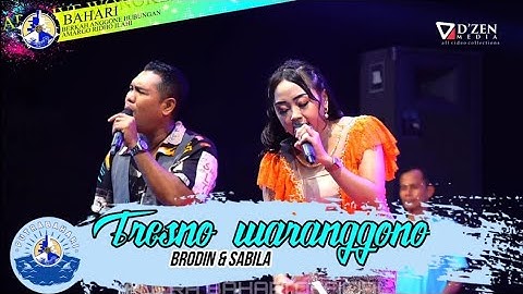 TRESNO WARANGGONO BRODIN & SABILA NEW PALLAPA PUTRA BAHARI WONOKERTO PEKALONGAN 2023 #trending