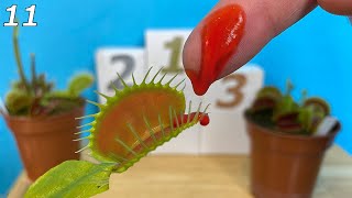 I Fed my Blood to a Venus Flytrap  Event 11