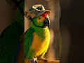 Funny 😂 talking Parrot 🦜 #talkingparrot #funny #parrot #ai #fyp 