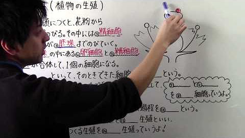 とある男が授業をしてみた とある男が授業をしてみた