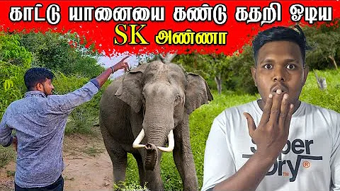 sk  |