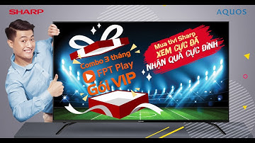 TRẬN CẦU TRỞ LẠI, HÀO HỨNG NHÂN HAI