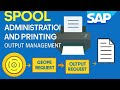 The Ultimate Guide to SAP Spool Administration (SP01) | Master Printing &amp; Output Management