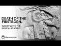 The Death of the Firstborn. Hidden Insights in the Torah
