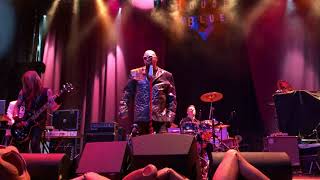 Videobob and the Radio Stars - Video Killed the Radio Star - House of Blues Dallas