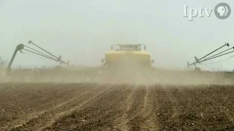 Bringing in the Harvest with the Soybean King