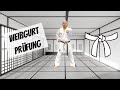 Werde Karate-Meister 1/10: Weißgurt Shotokan Prüfungsprogramm Kihon (9. Kyu, DKV)