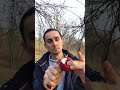 5 ноября 2018 г.