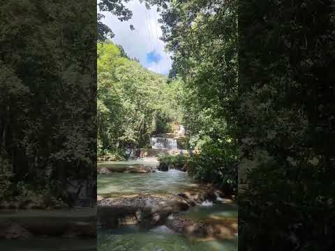 Wideo: Wodospady Jamajki