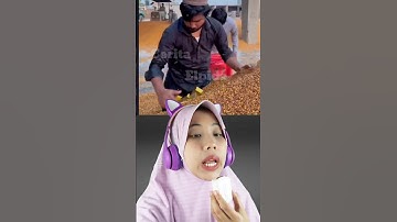 MENEMUKAN EMAS SAAT MENGGILING JAGUNG | Cerita Elpida #shortvideo #viralvideo #trending #shorts