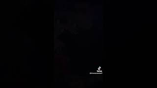 دول ضربو فيا عيار    سمعها