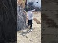 رقص فاجر على مهرجان نطيت كسرت اللمبه فجاه جراري بقا شداده قباري المتسيط تريكه المتسيط
