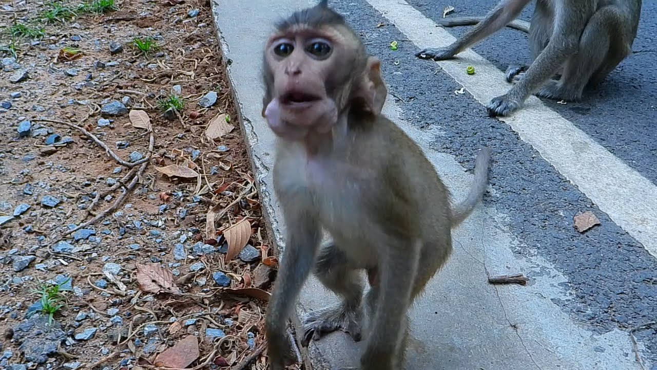 Gianni Feel At Home With Mohanokor Group