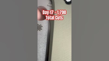 Day 1️⃣7️⃣: Maxamet Edge Retention Testing with Spyderco Manix 2