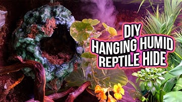 DIY Hanging Reptile Hide | KristenLeannimal