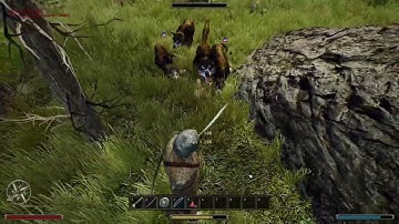 Gothic 3 Combat - How to fight with Wolfs