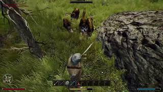 Gothic 3 Combat - How to fight with Wolfs