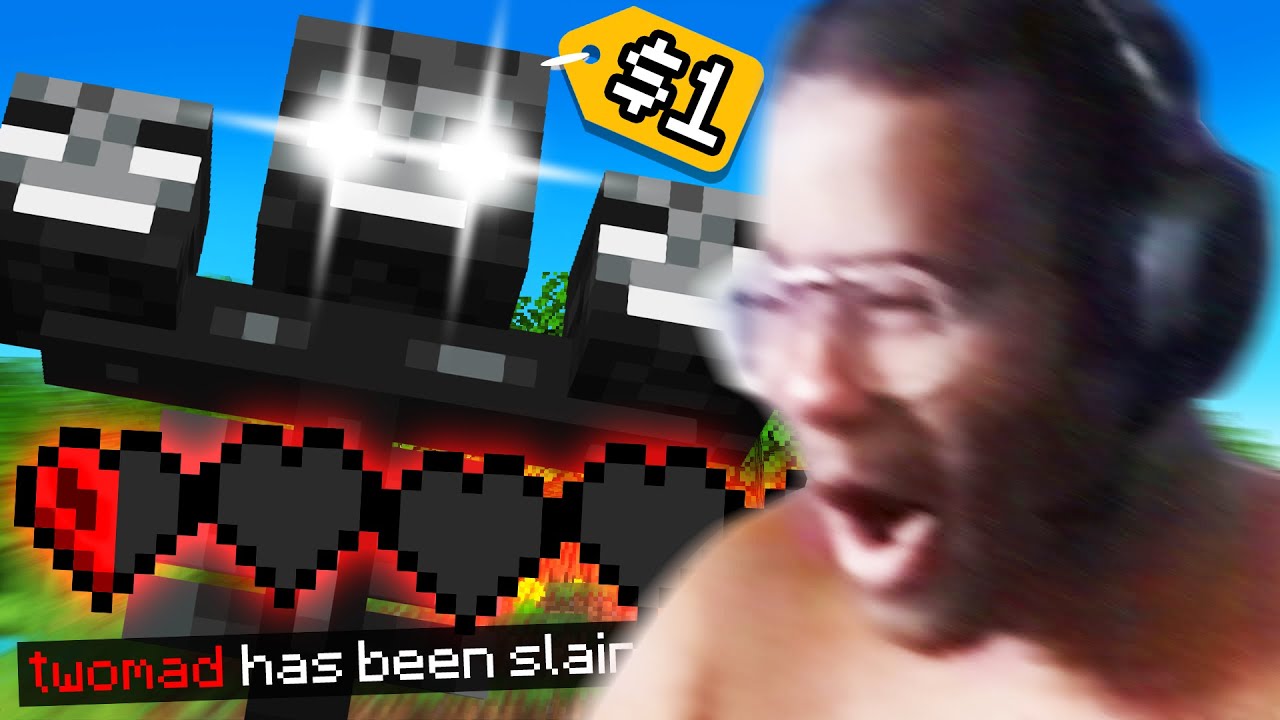 Minecraft speedrun but my viewers can SPAWN WITHERS