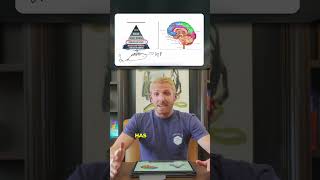 Why Primitive Reflexes Are the First Place to Start #shorts