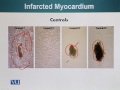 BIO734 Advances in Cell Biology Lecture No 114