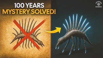 Wetenschappers hebben eindelijk het 100 jaar oude mysterie van hallucinogenese opgelost