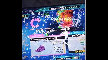 MAX 300  [SINGLE EXPERT] [DDR A20+] C
