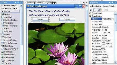 VB ( Visual Basic ) 2008 : Control & Properties - Picture Boxes