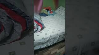 Garten Of Peluche 16