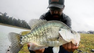 MONSTER CRAPPIE Fishing With LURES!!