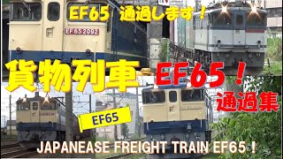 貨物列車 EF65 通過集 カッコいいですね。JAPANEASE FREIGHT TRAIN COOL PASVIDEO