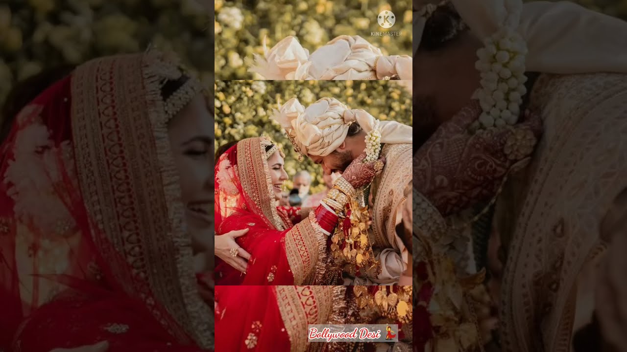 Katrina Kaif & Vicky Kaushal Wedding Pictures ❤❤❤😘😘😘 | First Look  #Shorts