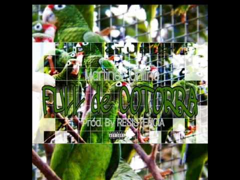 Maritnez Online Full De Cotorra Pr0d Pm studio upload image