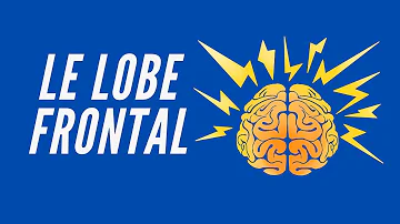 Quel est le rôle du lobe frontal ?