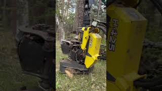 “Logging with precision: John deere 1270g harvester removing treejohndeere harvester viral tree