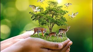 (G3) Oral Presentation PSA video- We Learn Together